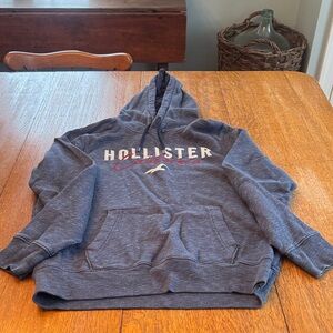 Hollister Men's Blue Hoodie Sweater
